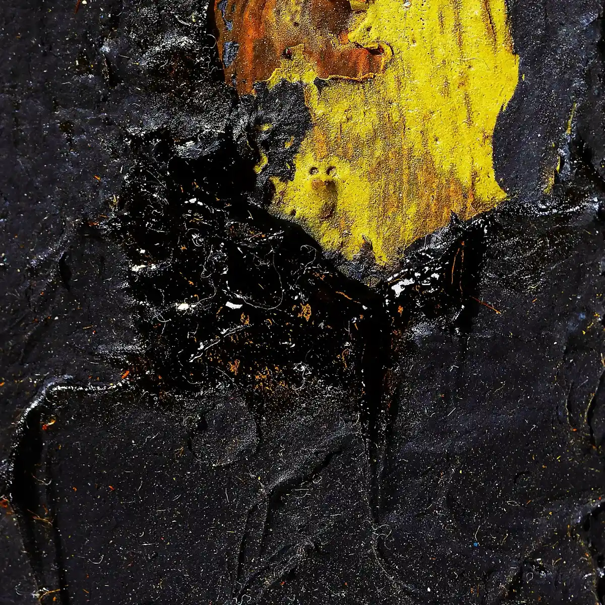 inscription 204b0dd86dbc5f772f54121c7bb1f3b03fb5413d7bf2f28ce5a5678c842ccd16i0