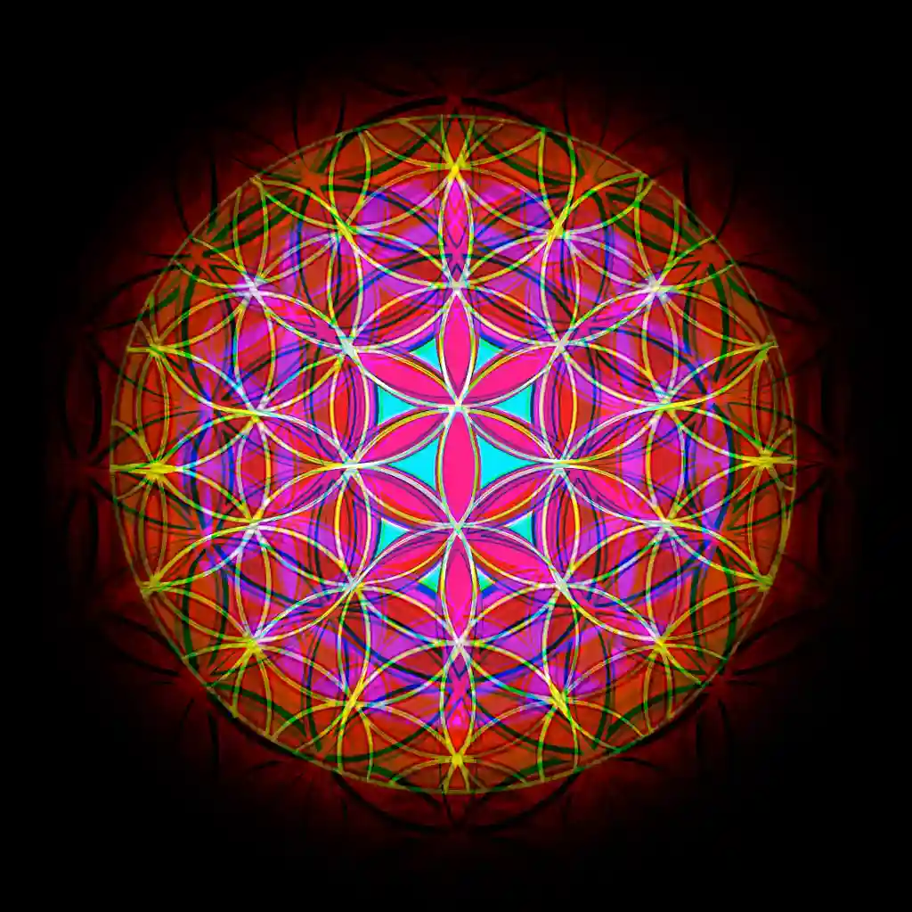 inscription 3cc67cf552d6297e148997cc01234548fed4b83dcb4a2b521ab14845b217ccb7i6