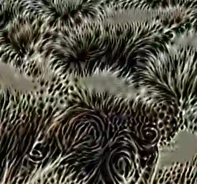 inscription 4a2361681d8670b7c5dfd63d347328d27b2860e4629c86a2f9d457cc2357e5cdi5