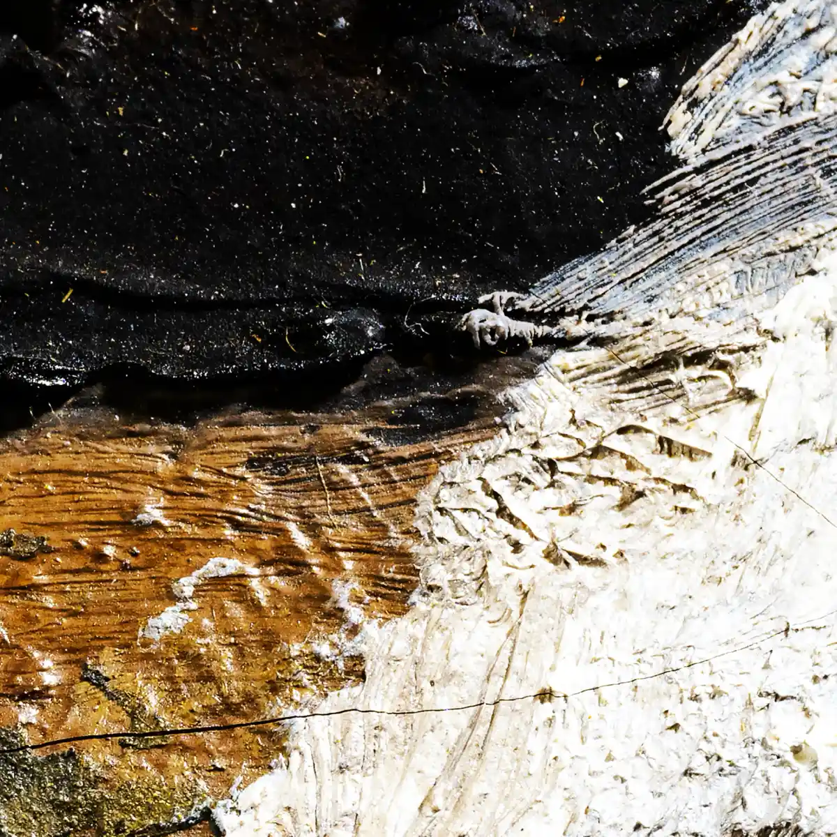 inscription 54e877e553f1f6fcdbabe33f682a9814e25dc4c9bae6249f86ccd99b61302a31i0