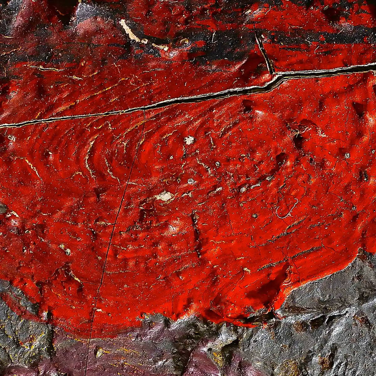 inscription 6d5c54c3cc0d1277e61bd404a92a58a7a268342a90d9f2ed7c89971ebcb2ce6ai0