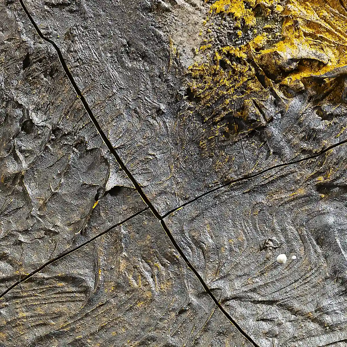 inscription 7ac7aad19b721127aa86c78181f39010e28878f9f53ed82e1c6a5a43e9ce025ai0