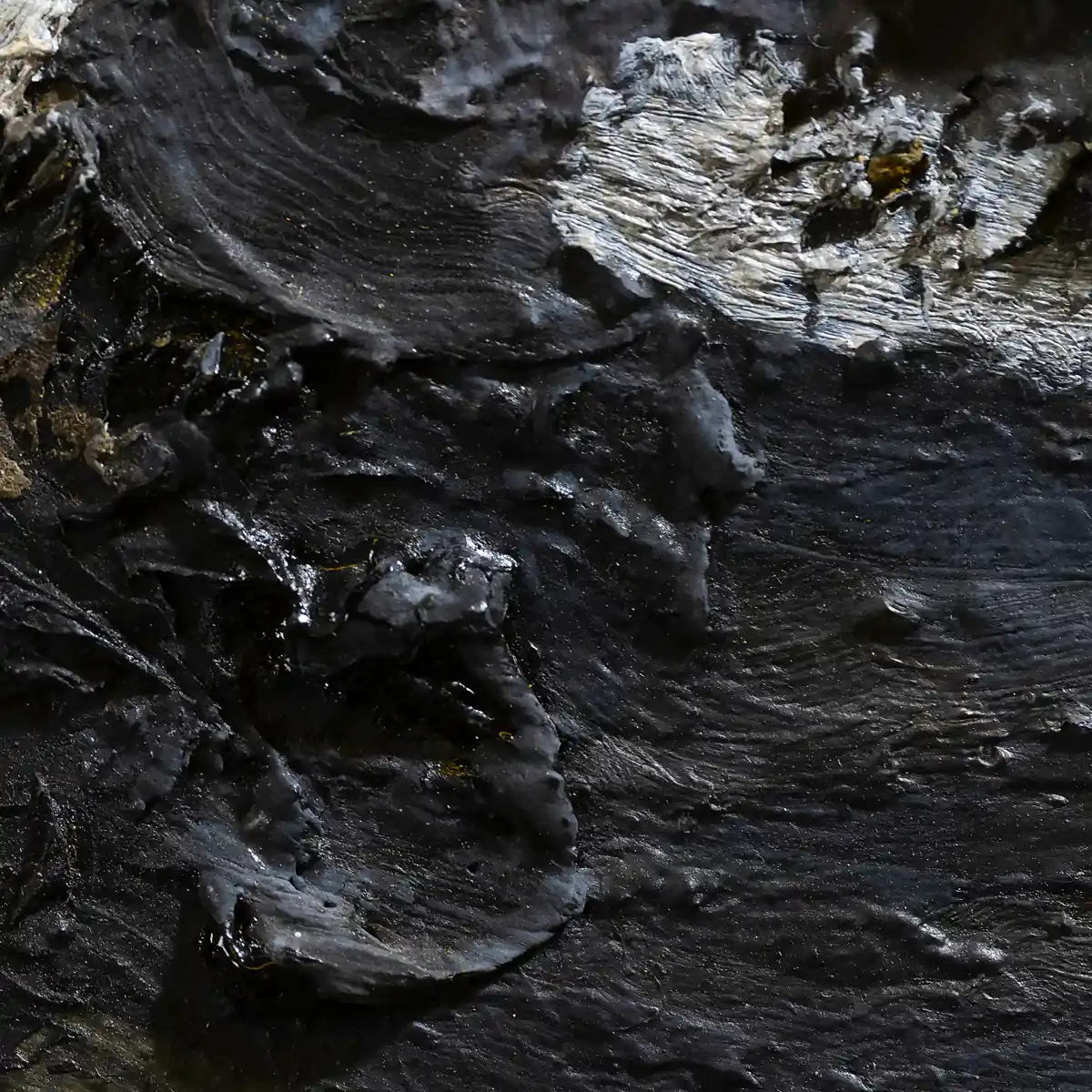 inscription 7b7a2b9b539d7bd80ed9d0dbc24a6be0ba1d276fbe9f313821d9e407f834016ei0