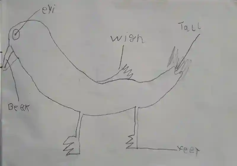 inscription 88e7eeeedbc8d11521c39aaa226961d7d67c1b740f81c7996f168801209535eai13