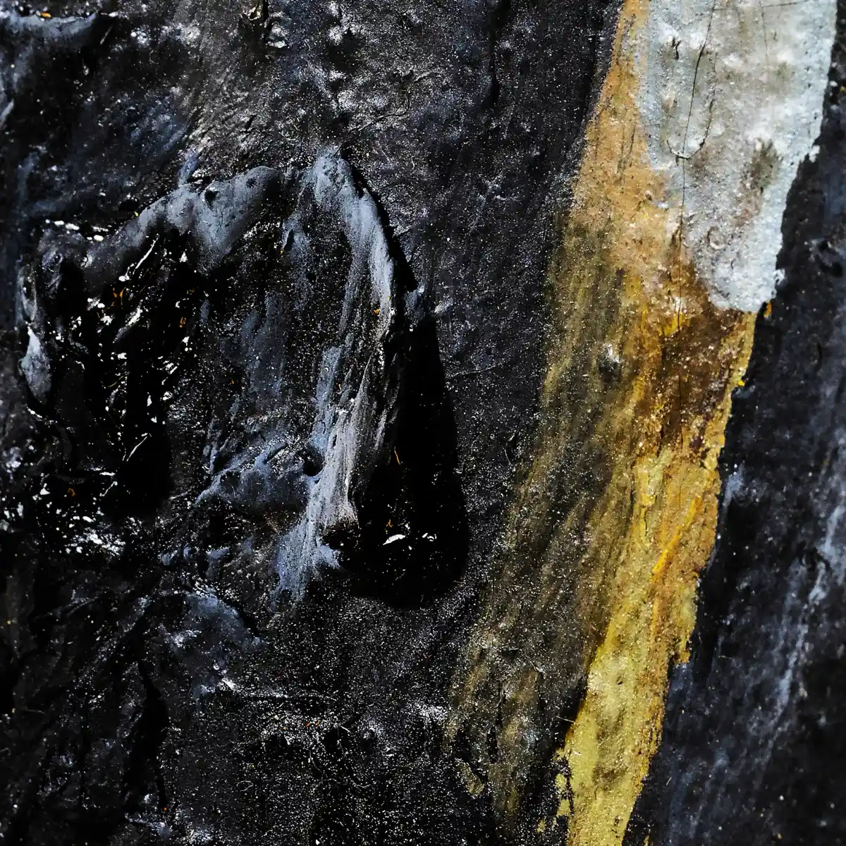 inscription 95b237c7ed41bbba01ff8f488f3035b0cee5d7d23737c490e25530d6771a76bfi0