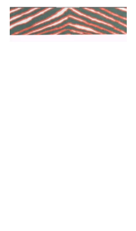 inscription 9c4aa4addbce6c3d2f40e2874ed4e5d0d279c549756c449f5bee5a59fbac161fi0