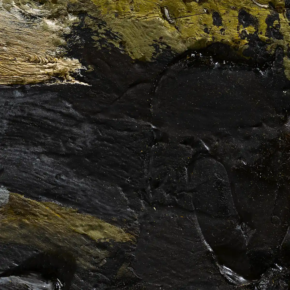 inscription bab4895d3ba3fc383a0437ec8c67dabf5b02471021e65ab9e8a9ff22af296e8ci1