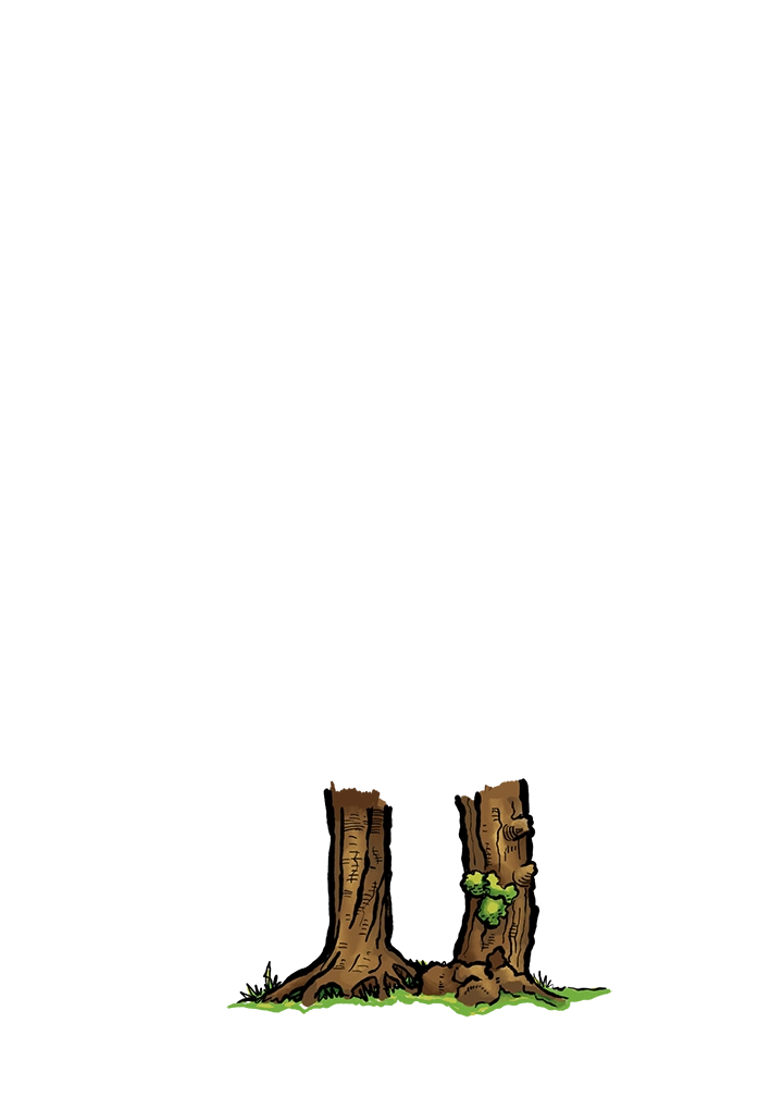 inscription c0d52c612edebf3bac99f788cbd290593956ade161348ac20b9809c712941fc9i11