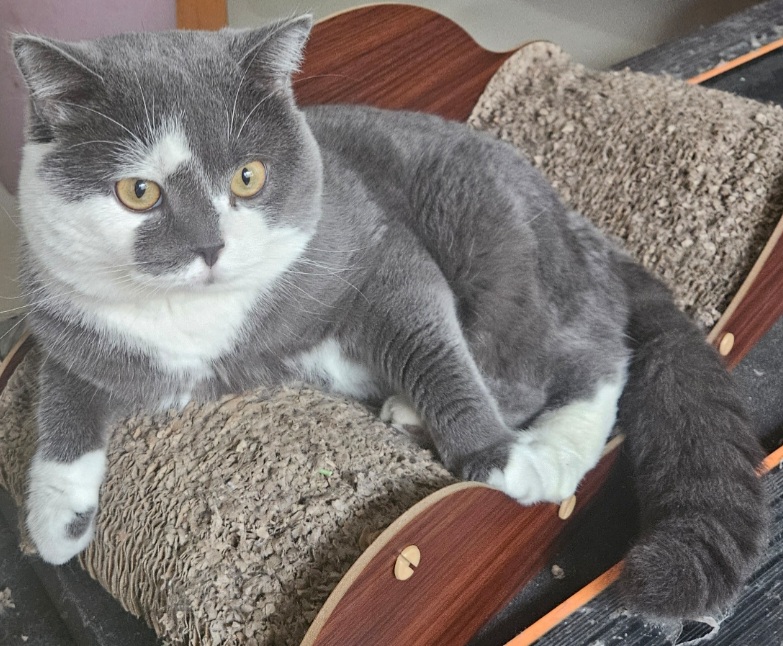 inscription c1f3124a072f7571e2d4bd1bbbdfd04a5c8227a416b7d06ff3956cf363ae9872i0