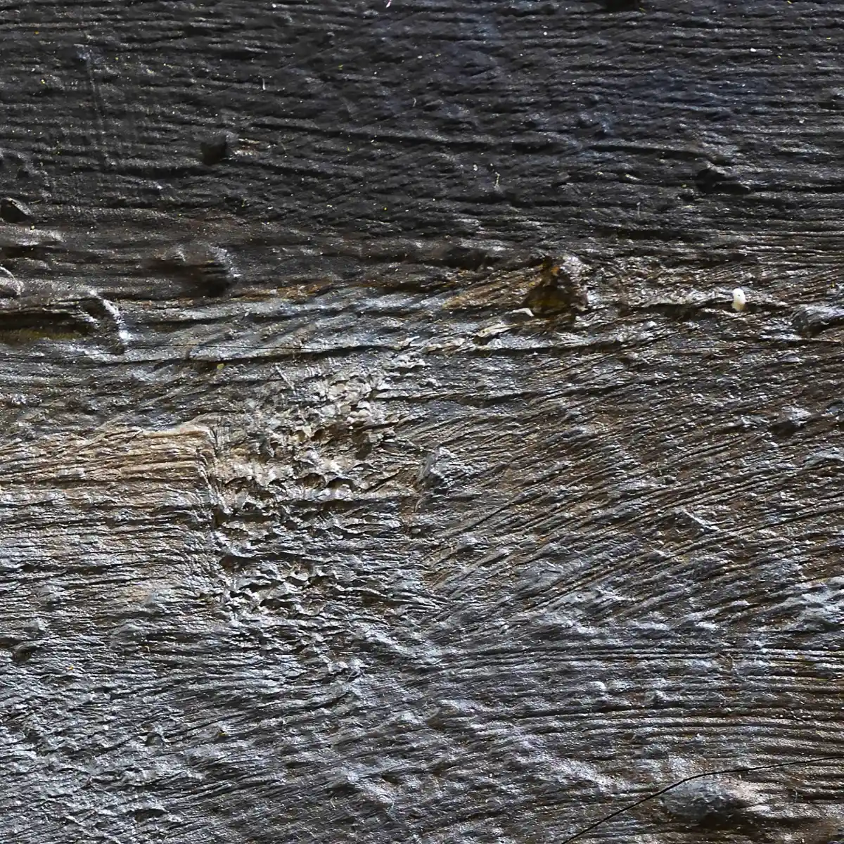 inscription df40f22e6161e5801b94927428a6ebb9ee11e6ed5eed0302469e4430625e0d19i0